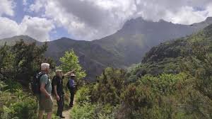 Dimosari Gorge hiking trail