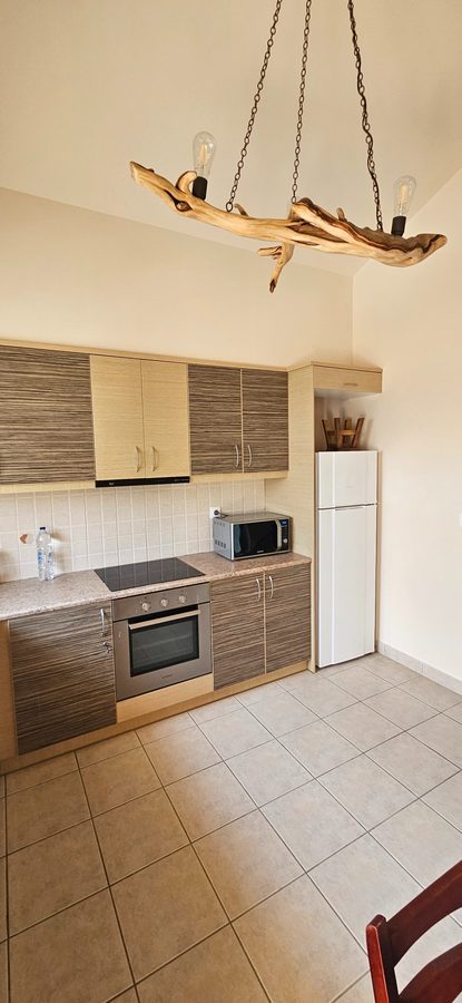 Kitchen with driftwood chandelier and modern appliances